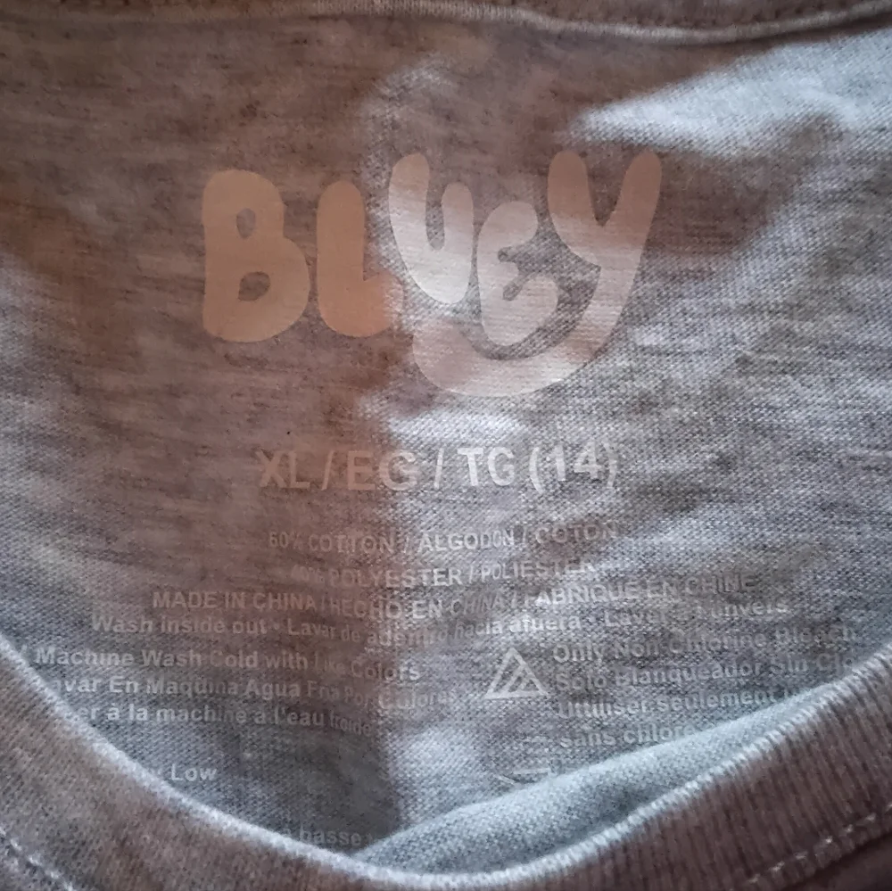 Bluey Kids Gray Holiday Graphic T-Shirt - Size XL NWT